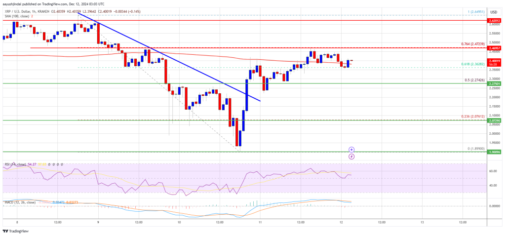 XRP Price Winning Streak: Is More Upside on The Horizon?