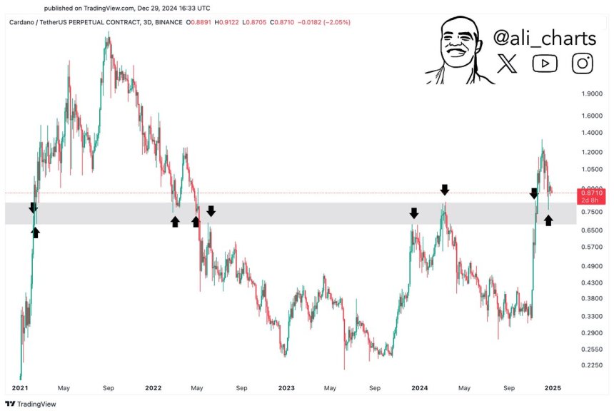 Cardano Holds Crucial Support At $0.77 – Massive Rally Ahead?