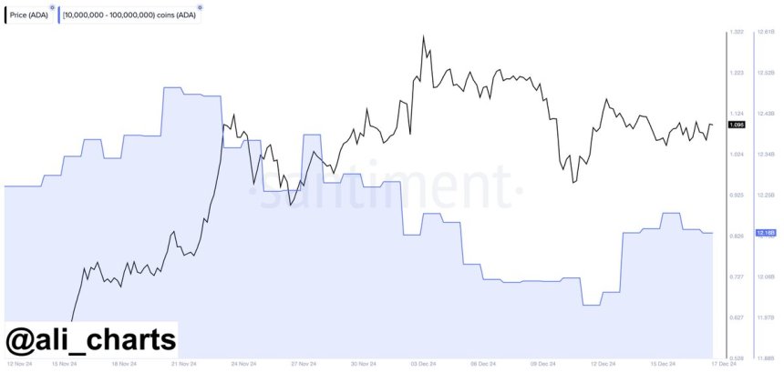 On-Chain Metrics Reveal Cardano Whales Are ‘Shopping for The Dip’ – Particulars