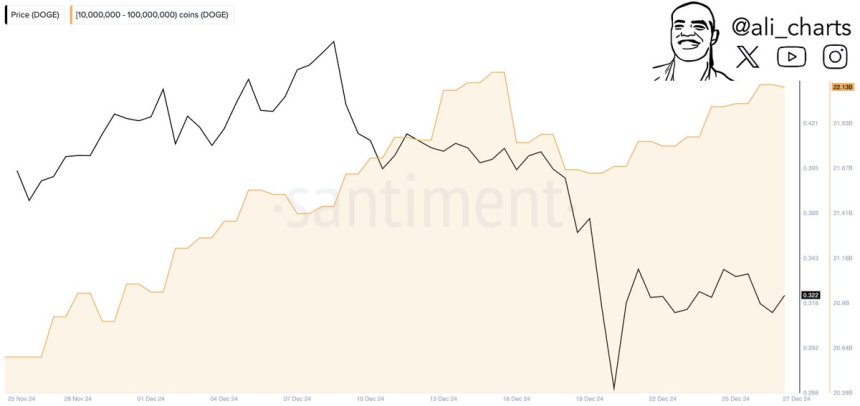 Dogecoin Whales Purchased Over 90 Million DOGE In 48H – Particulars