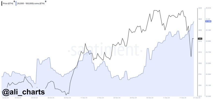 As baleias do Ethereum compraram 340.000 ETH nas últimas 96 horas