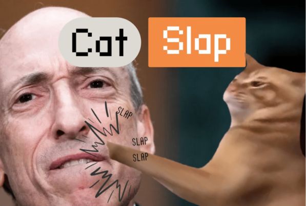 catslap 100 000 dollars