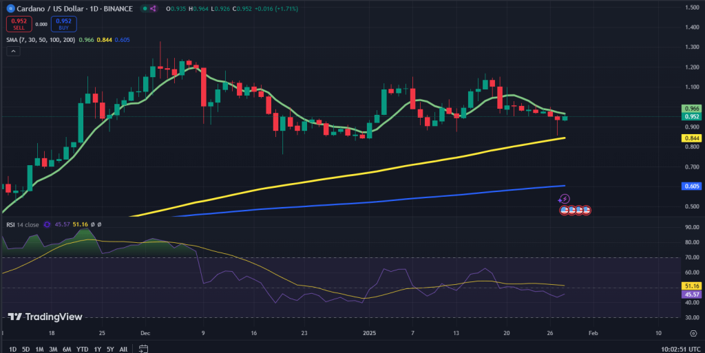 Cardano koers grafiek