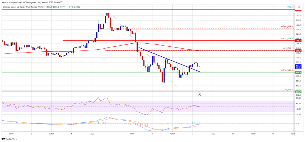 BNB Worth Rebound Attainable: Can It Climb Again to 0?