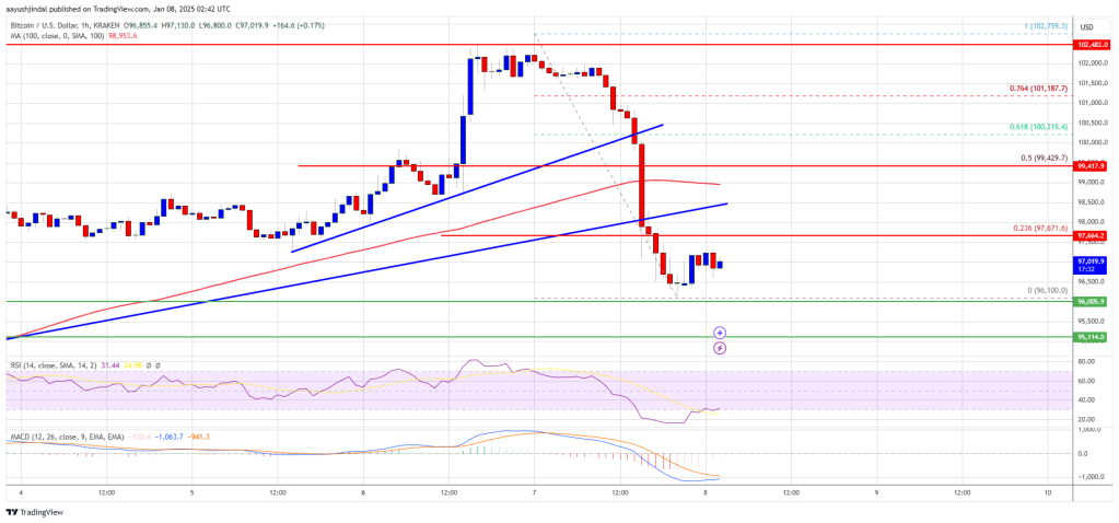 Bitcoin Price Takes a Breather: Gains Reduced Amid Volatility