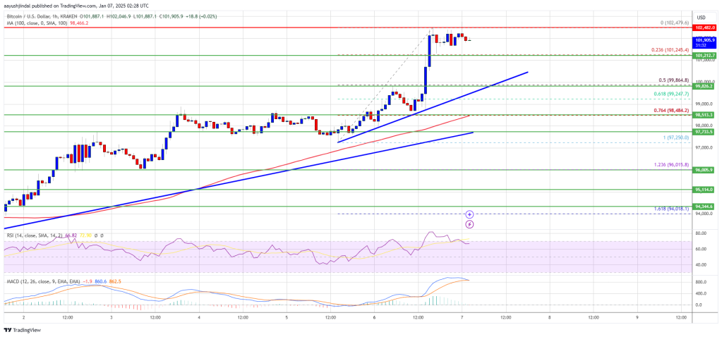 Bitcoin Price