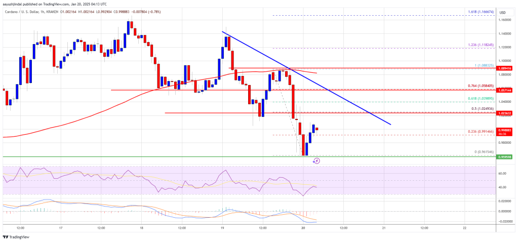 Cardano Price