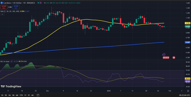 Cardano koers grafiek