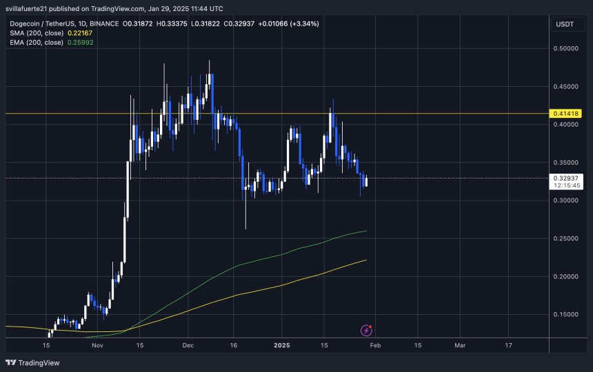  DOGEUSDT chart on TradingView