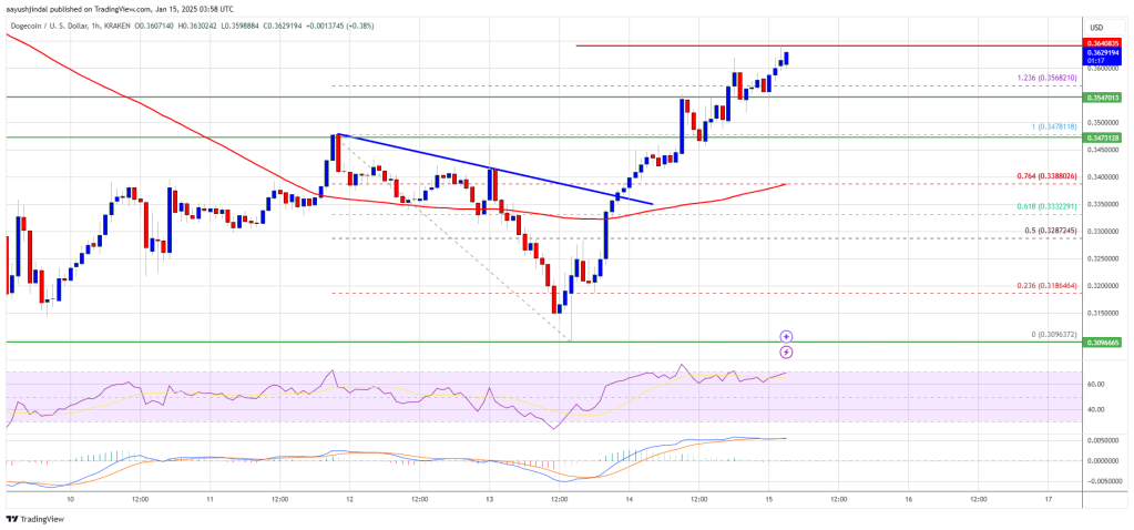 Dogecoin (DOGE) Finds Its Footing: Bulls Regain Traction