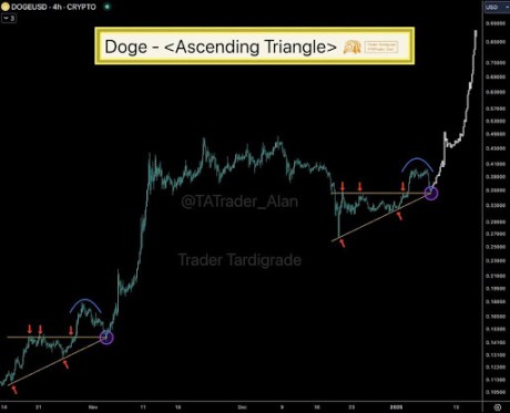 70 Million DOGE Make Their Way To Binance Amid 10% Dogecoin Price Crash