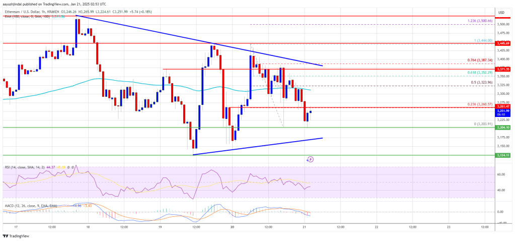 Ethereum Worth Stays Flat Whereas Bitcoin Steals the Highlight with New ATH