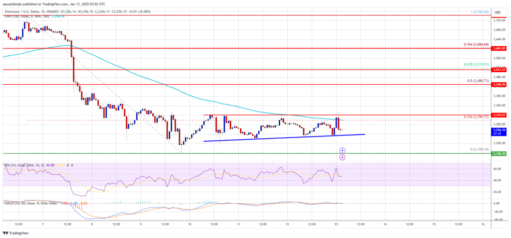 Ethereum Value Losses Regular: Is a Rebound Brewing?