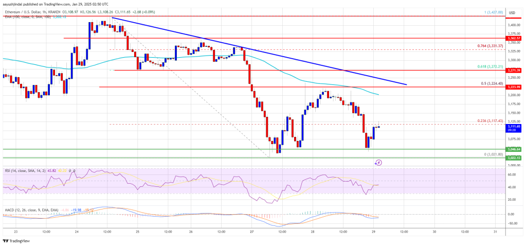 Ethereum Price Battle Persists: Can Bulls Turn It Around?