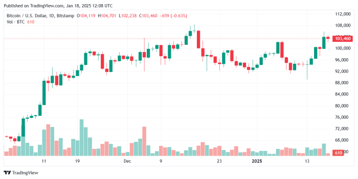 Grafico dei prezzi di Bitcoin. Fonte TradingView