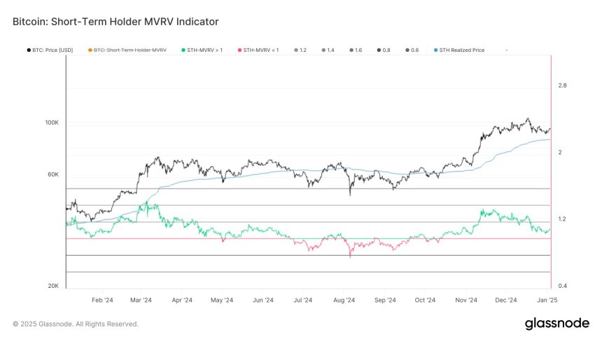 Short-Term Bitcoin Holders See 10% Profit – Potential Impact On Price?