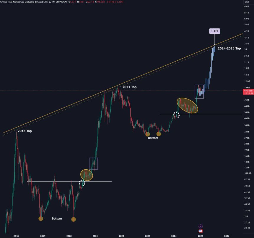 Last Dip For Altcoins? Expert Predicts Final Correction Before Bull Market Resurgence