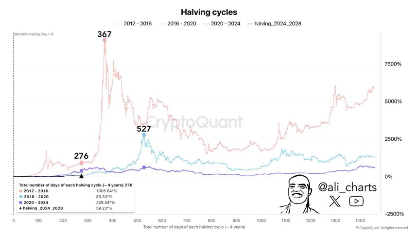 Crypto Experts Forecast Bitcoin Market Peak: Bear Market Could Emerge Within 3 Months