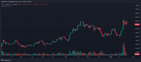 Will Solaxy Be the Next Presale to Explode While the Solana Bulls Are Winning?