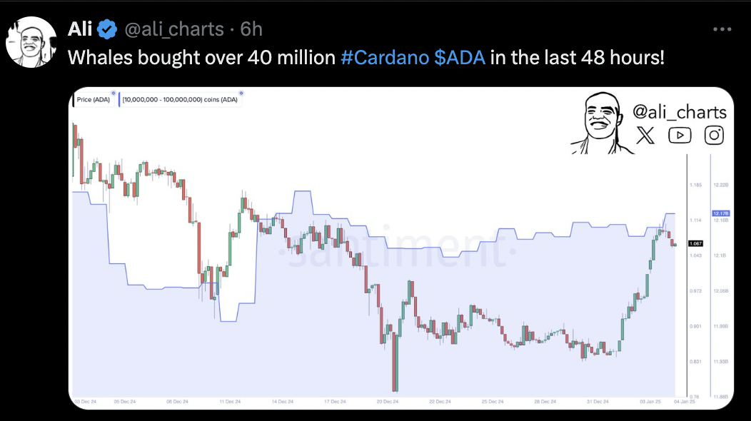 Precio de Cardano