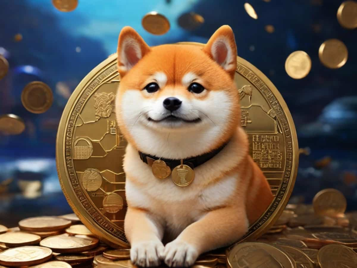 Shiba Inu Meme Coin