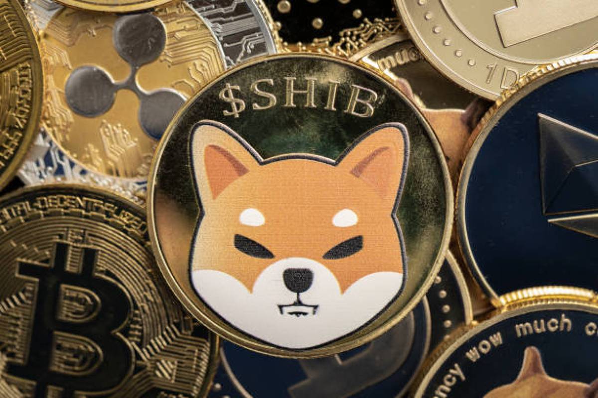 meme coin shiba inu