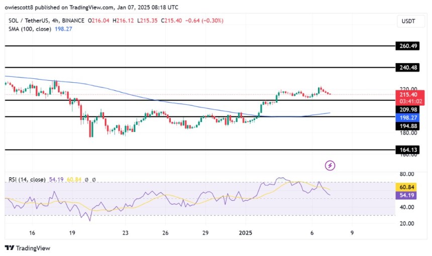 Solana Rally Stalls: Pullback To Key Support Signals Potential Correction