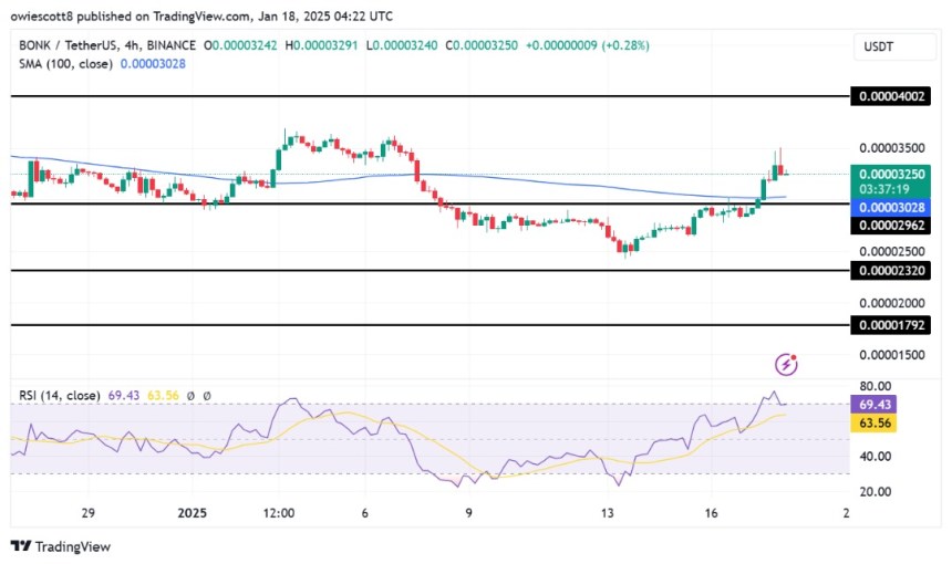 Meme Coin BONK Faces Price Correction: Can Bulls Regain Control?