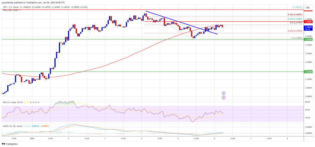 XRP Price Sets Sights on New Gains: Bulls Poised for Action