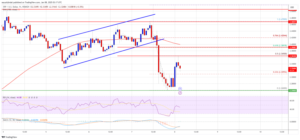 XRP Price Corrects: Limited Downside Keeps Bulls Optimistic