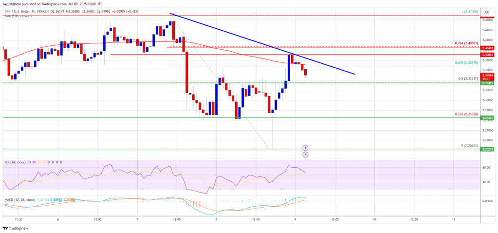 XRP Price vs. BTC Pressure: Can It Hold Its Ground?