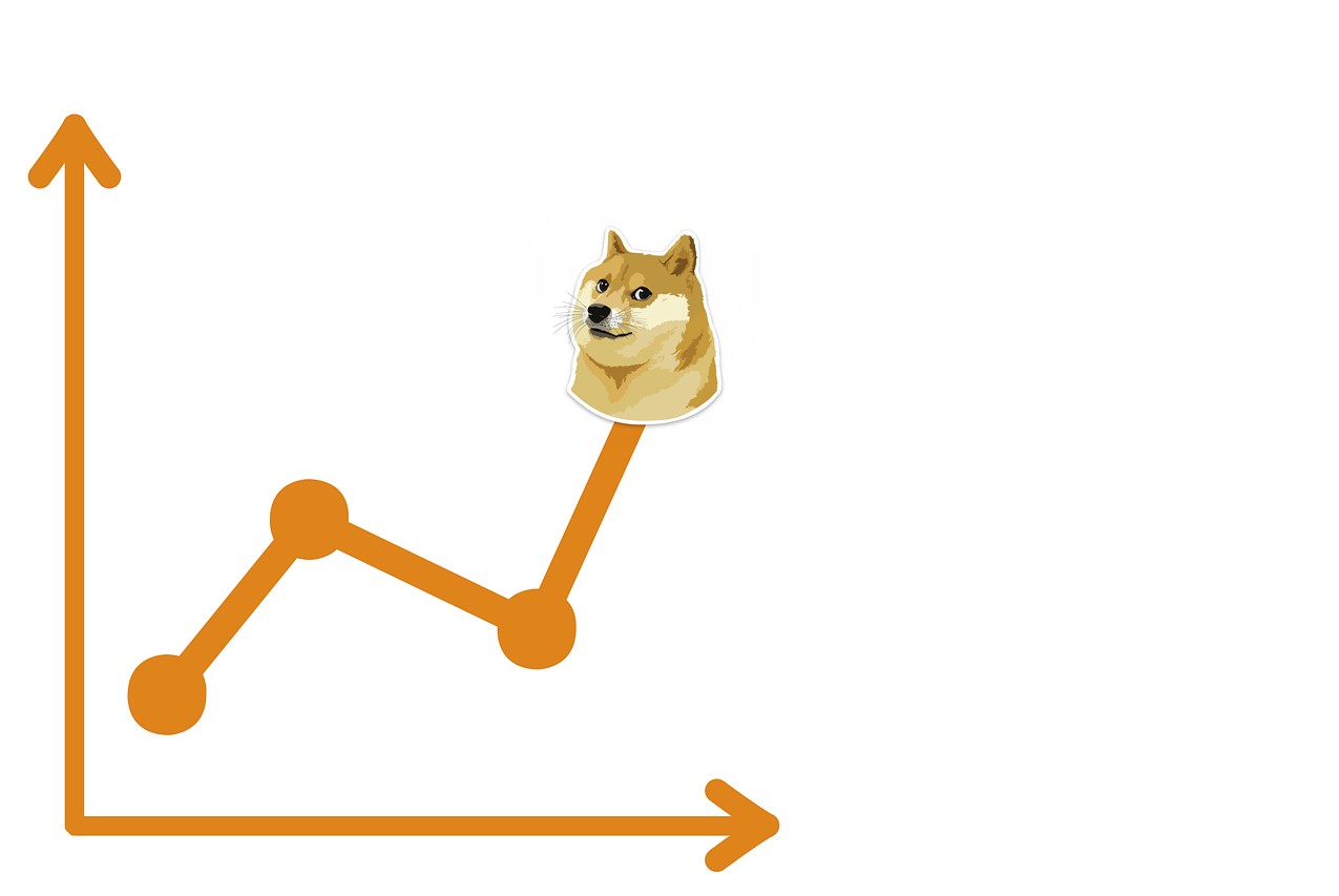 Dogecoin To Hit $1? Expert Calls It A Realistic Goal For 2025 – Here’s Why