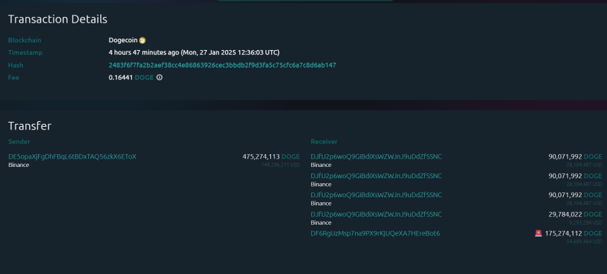 $54 Million In Dogecoin Exits Binance As Price Crashes 9%: Sign Of Buying?