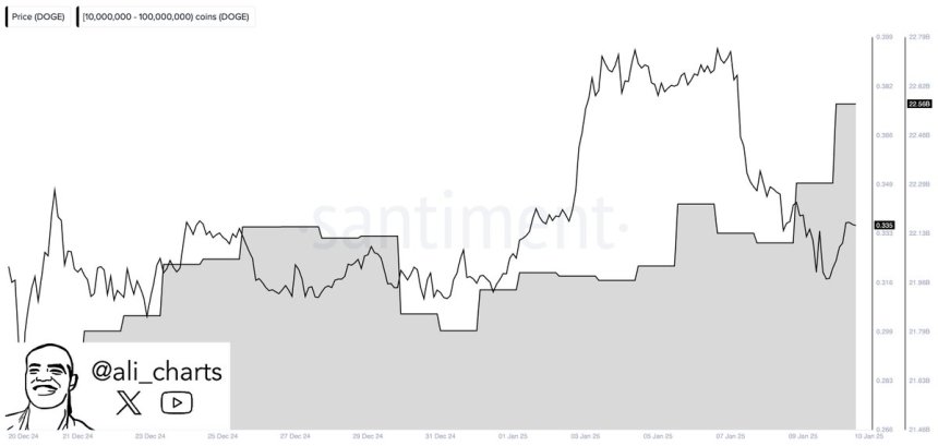 Dogecoin whales buying | Source: Ali Martinez on X