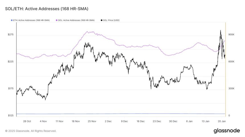 Solana Lively Addresses Surge To 832K Per Hour Outpacing Ethereum Amid TRUMP Meme Coin Hype