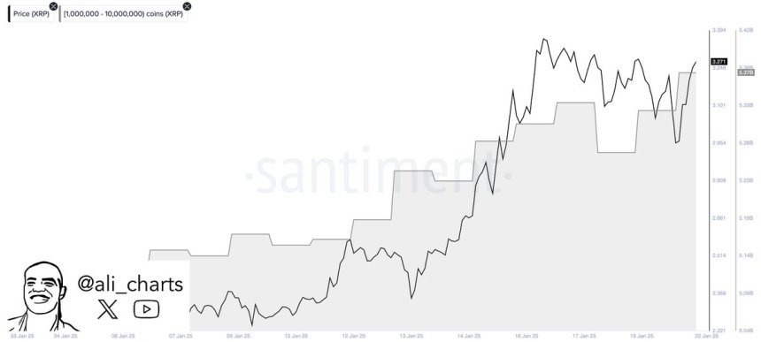 Whales buy 100 million XRP in 48H | Source: Ali Martinez on X