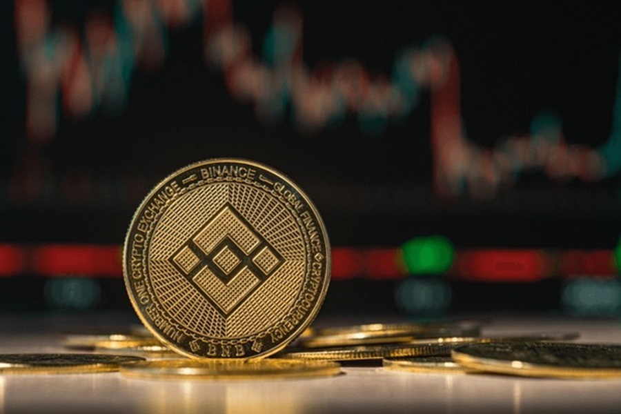 Binance Coin Critical Test: Will BNB Hold Or Plunge To $214?