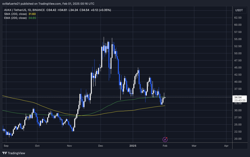 AVAX Testing crucial supply | Source: AVAXUSDT chart on TradingView