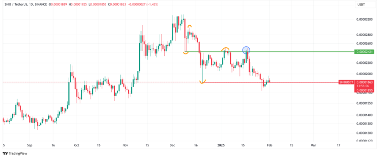 welke crypto kopen vandaag Koers Shiba Inu