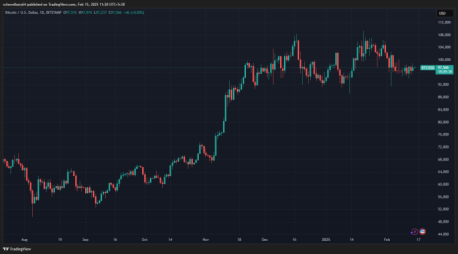 Bitcoin Short Term Investors Now Hold Over 4M $BTC. Can BTC Bull 100x?