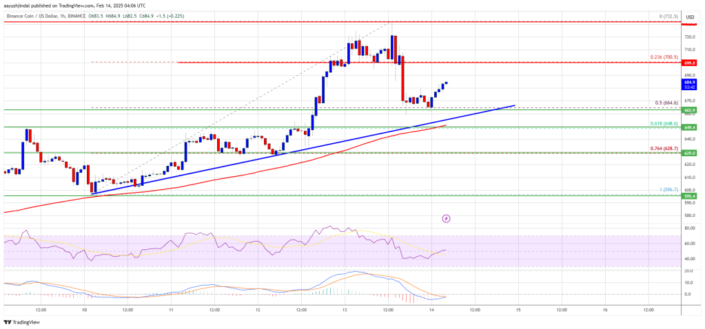 BNB Price