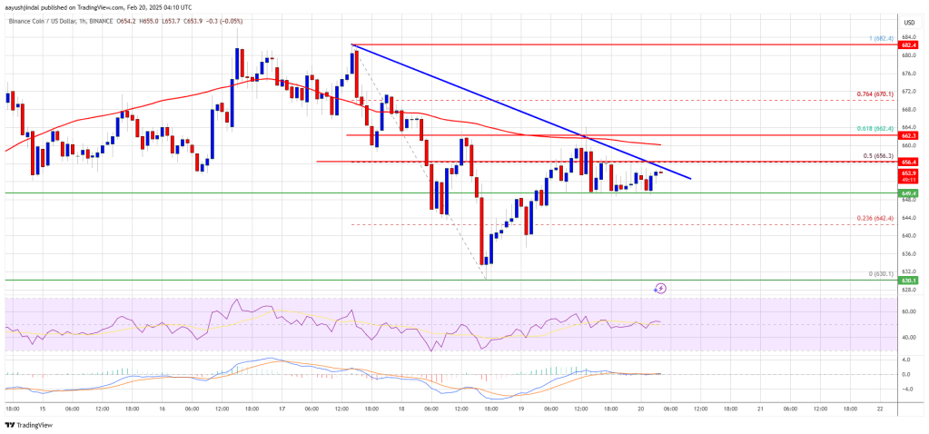 BNB Price