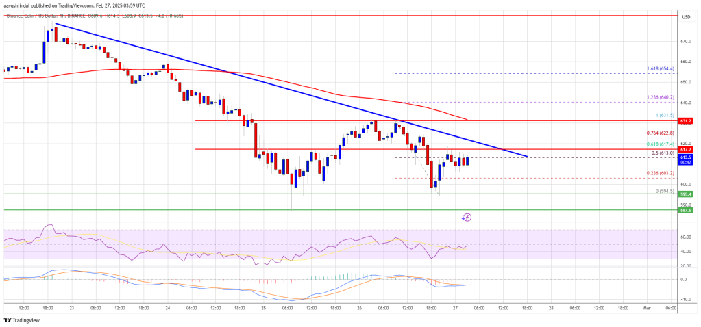 BNB Price