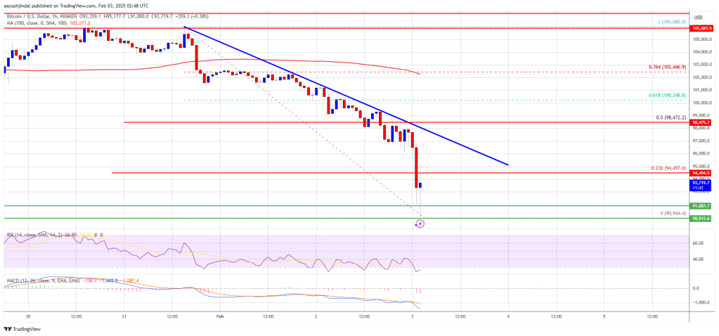 Bitcoin Worth Nosedives Almost 10%: Panic or Shopping for Alternative?