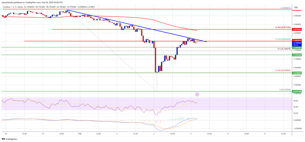 Cardano (ADA) at a Crossroads