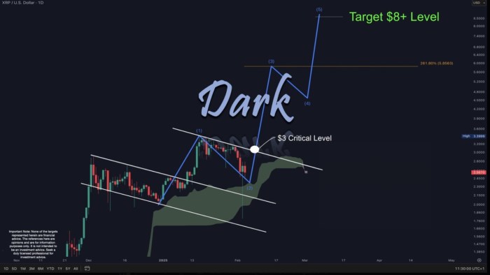 dark-defender-xrp-analyse