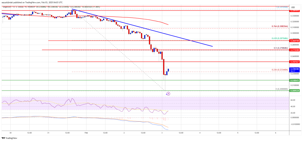 Dogecoin (DOGE) Plunges to alt=