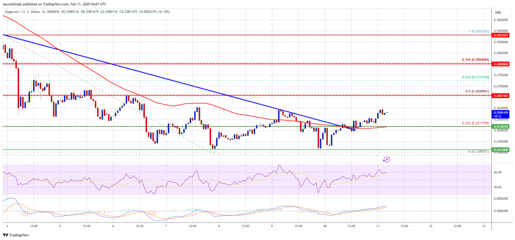 Dogecoin price