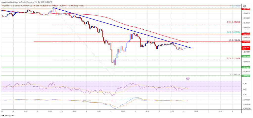 Dogecoin Price