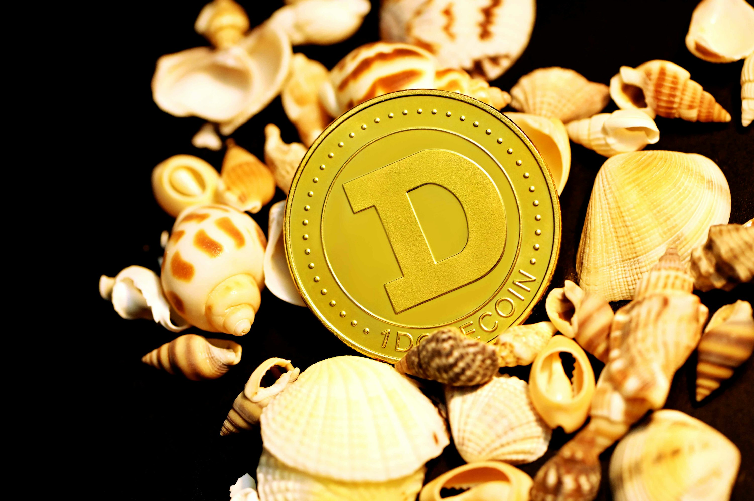 Dogecoin Starts Out February with 23% Crash, What Does Historical Data Point To?